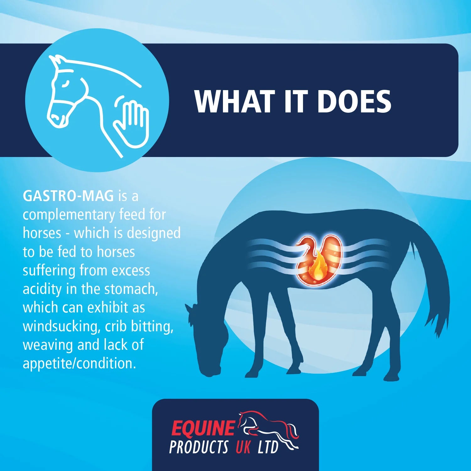 Equine Products UK Gastro-Mag
