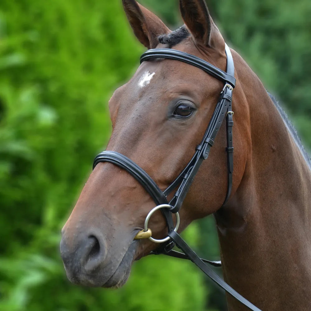 Hy Padded Cavesson Bridle with Rubber Grip Reins