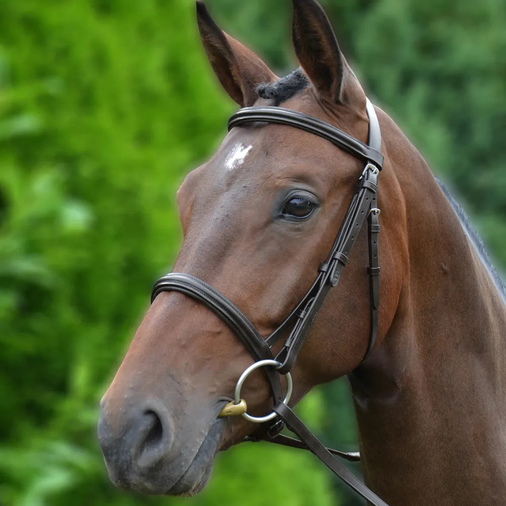 Hy Padded Cavesson Bridle with Rubber Grip Reins