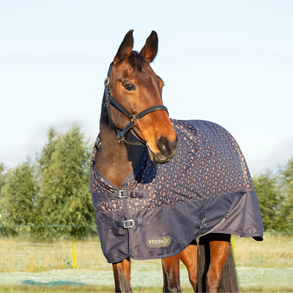 StormX Original Country 100g Turnout Rug