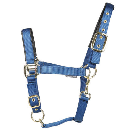 Hy Equestrian Grand Prix Head Collar