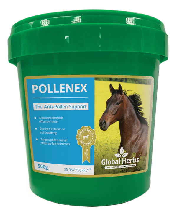 Global Herbs PolleneX Powder