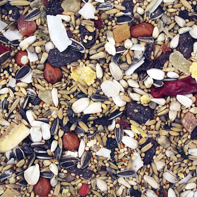 Johnston & Jeff Premium Fruity Parakeet 12.5kg