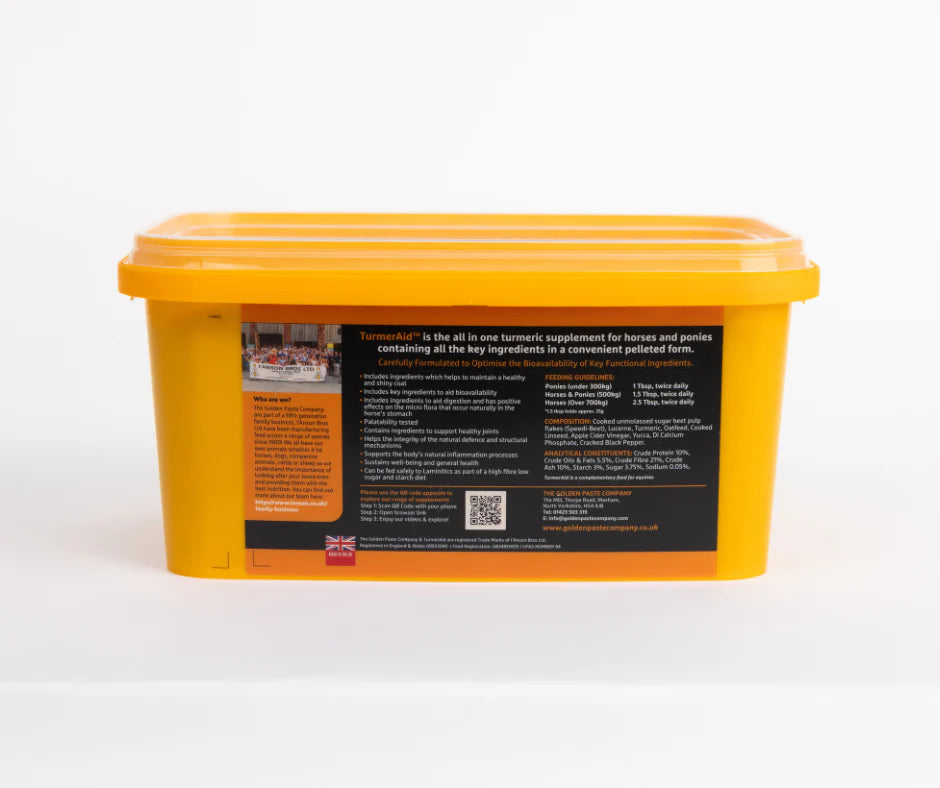 The Golden Paste Company TurmerAid