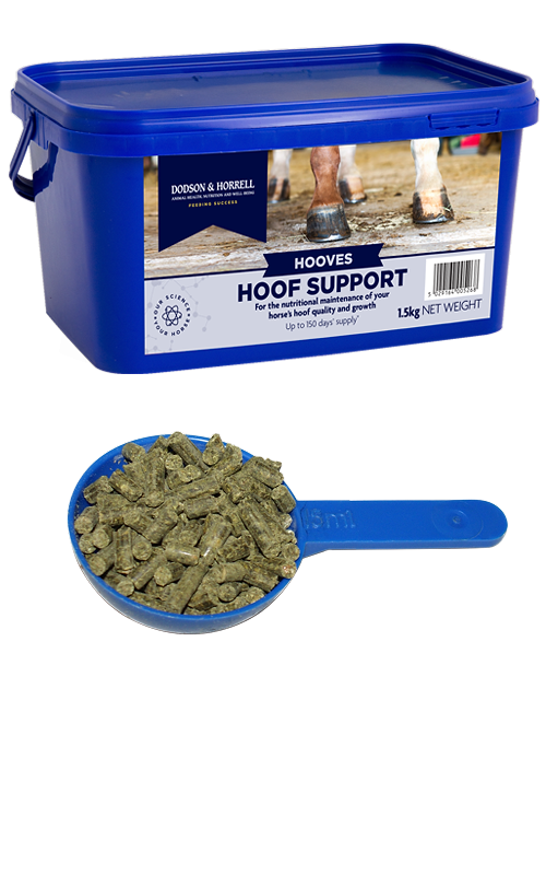 Dodson & Horrell Hoof Support 1.5KG