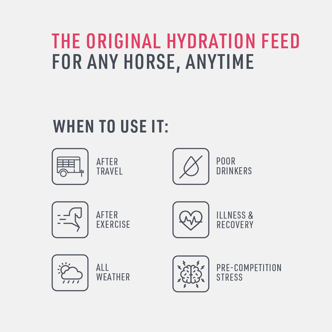 Saracen Re-Covery Mash 20kg