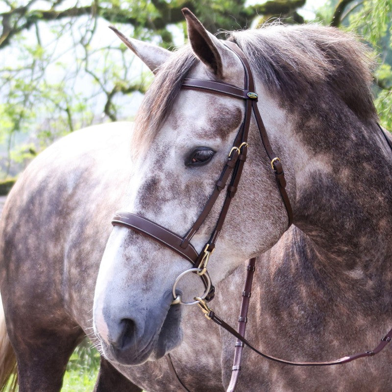 Madrid Snaffle Bridle Inc. 9-Loop Rubber Clip Reins