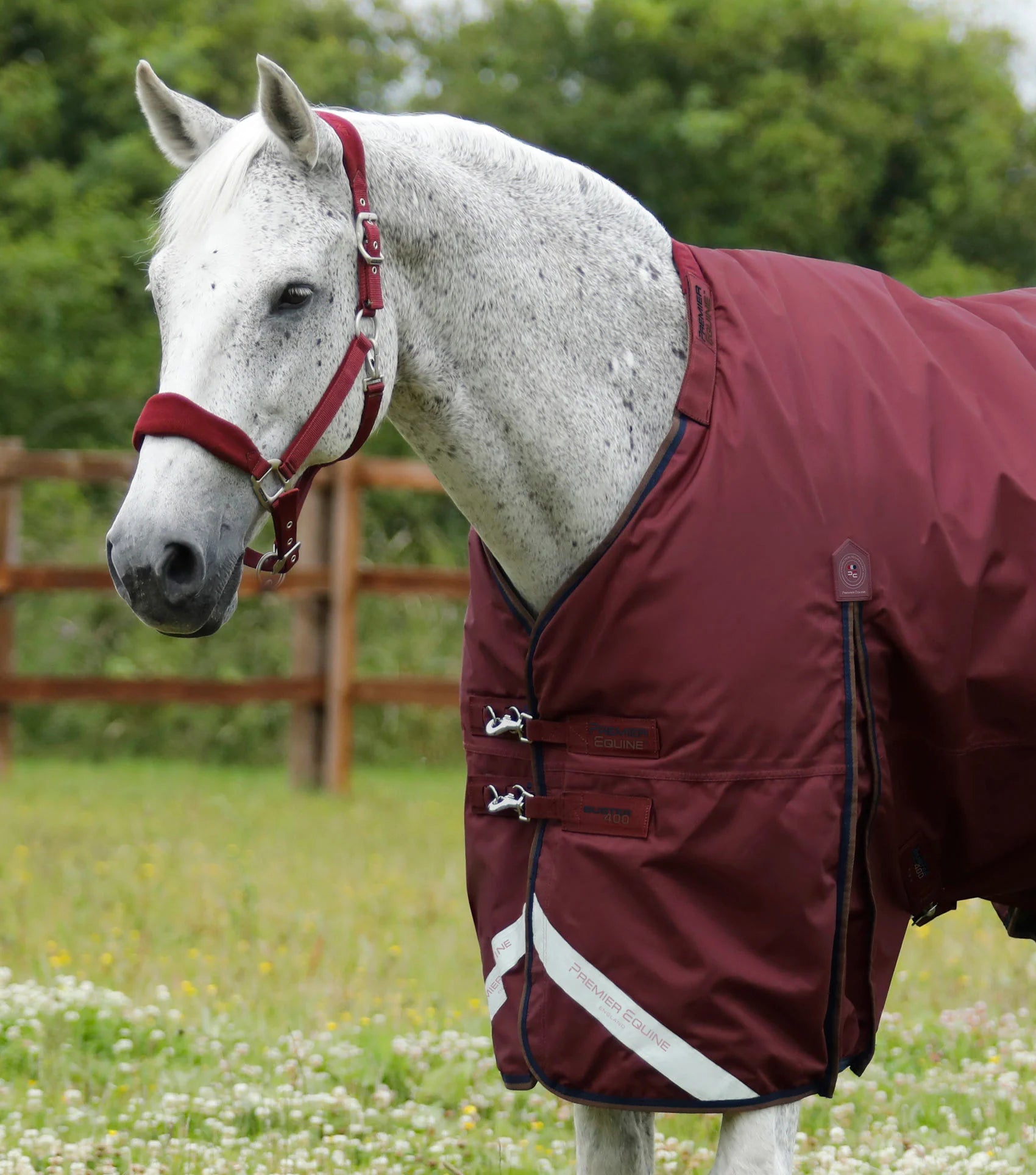 Premier Equine Buster 400g Turnout Rug with Snug-Fit Neck Cover