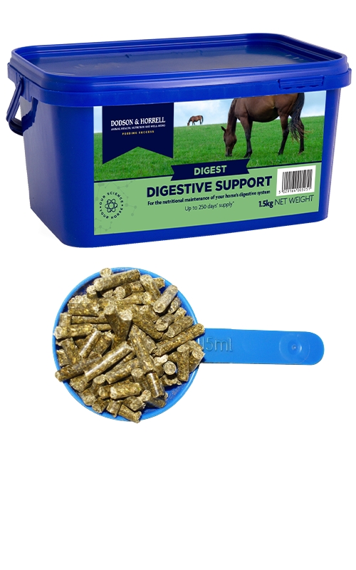 Dodson & Horrell Digestive Support 1.5KG