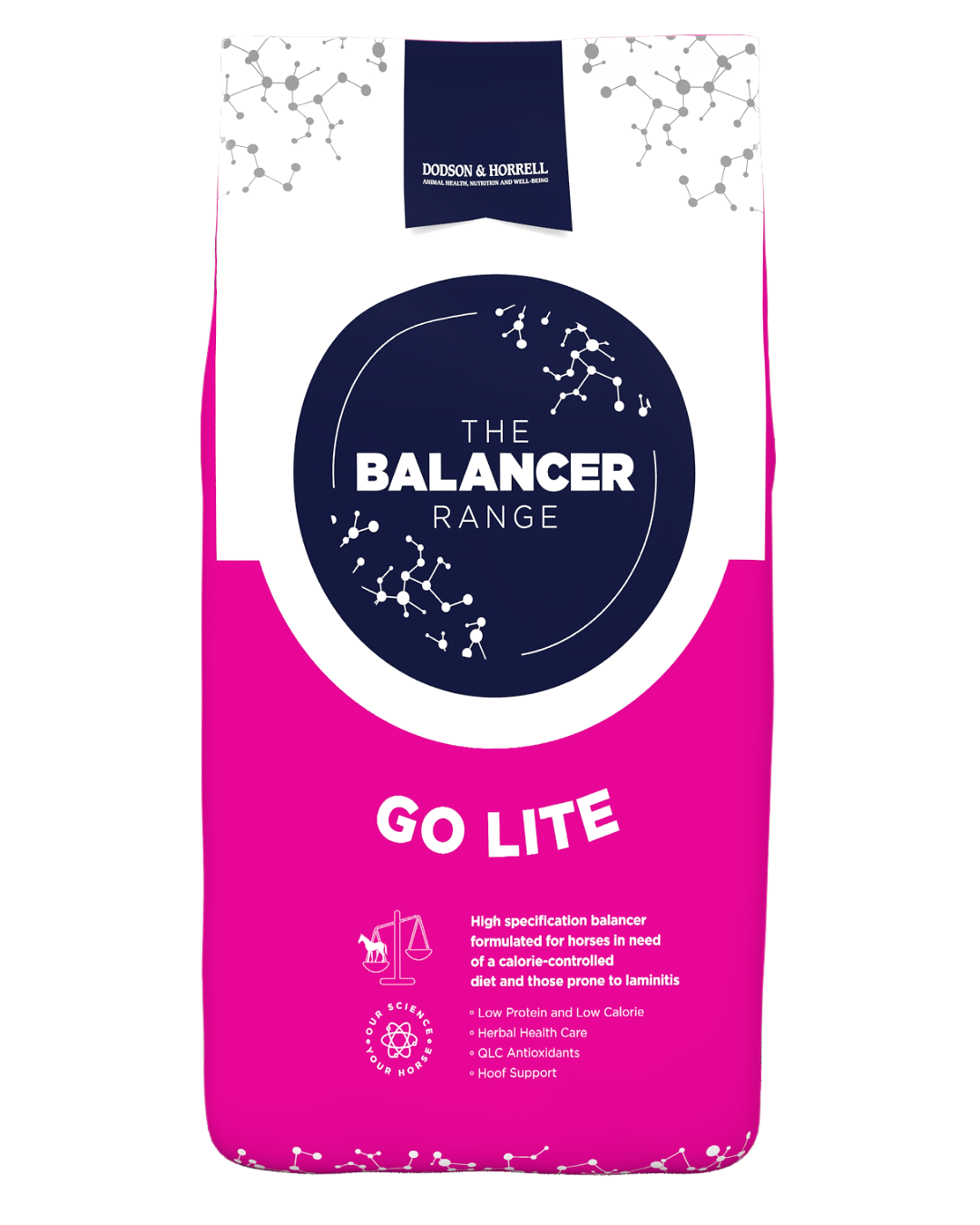 Dodson & Horrell Go Lite Balancer 15kg