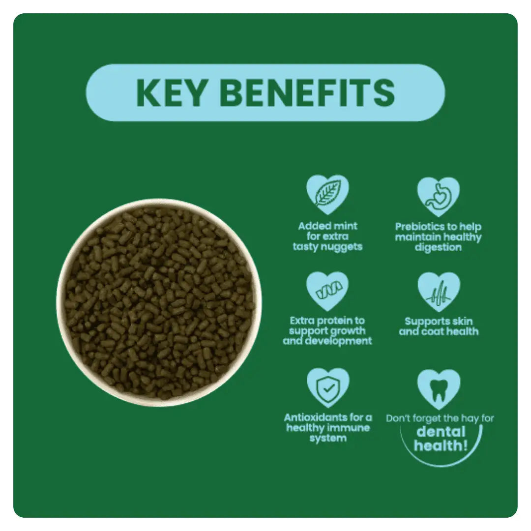 Burgess Excel Rabbit Junior & Dwarf 10kg