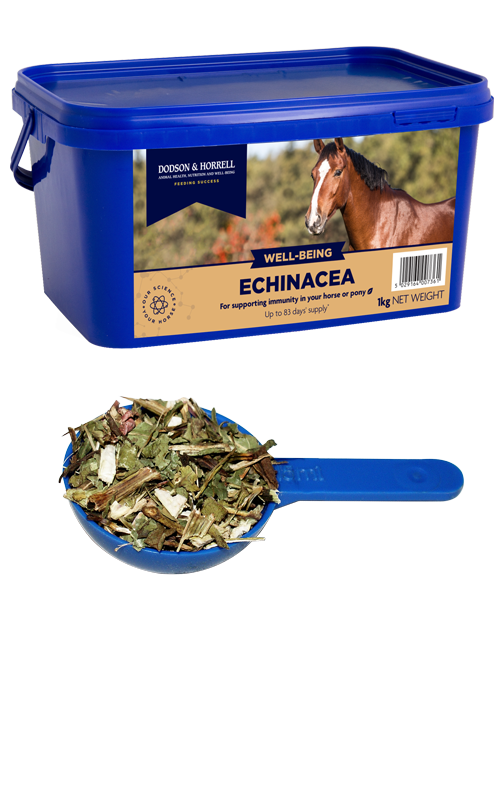 Dodson & Horrell Echinacea 1KG