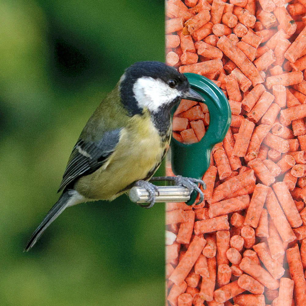 Tweet & Wild Suet Pellets With Mixed Berries 1KG