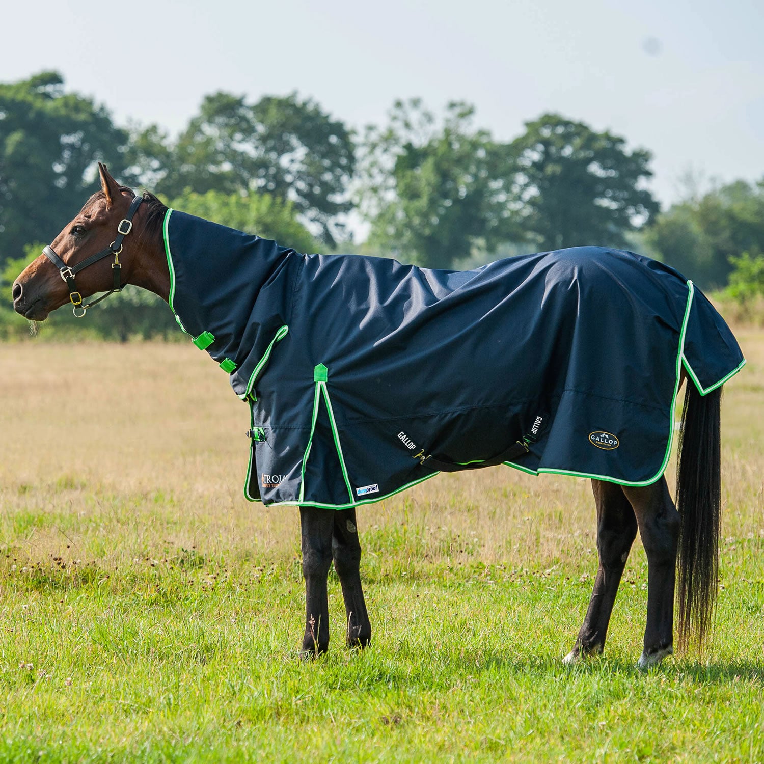 Gallop Trojan Duraproof Lightweight Turnout Combo 0g