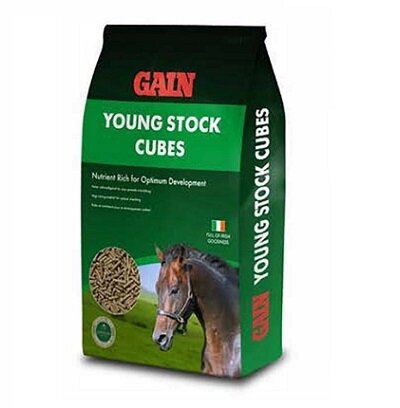 Gain Youngstock Cubes 25kg