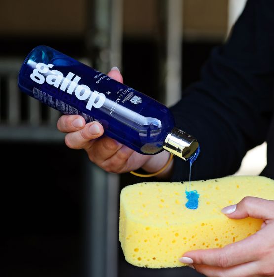 Carr & Day & Martin Gallop Colour Grey