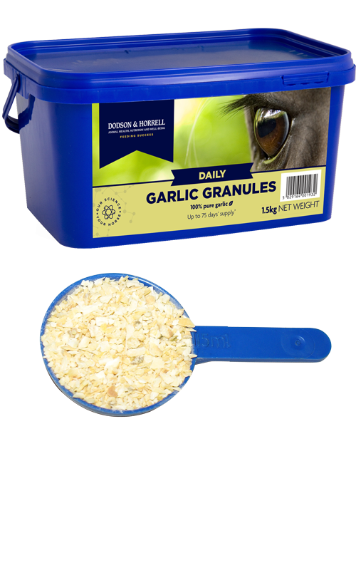 Dodson & Horrell Garlic Granules 1.5KG