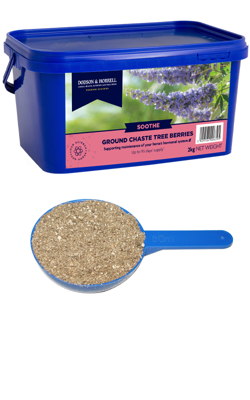 Dodson & Horrell Ground Chaste Tree Berries 2KG