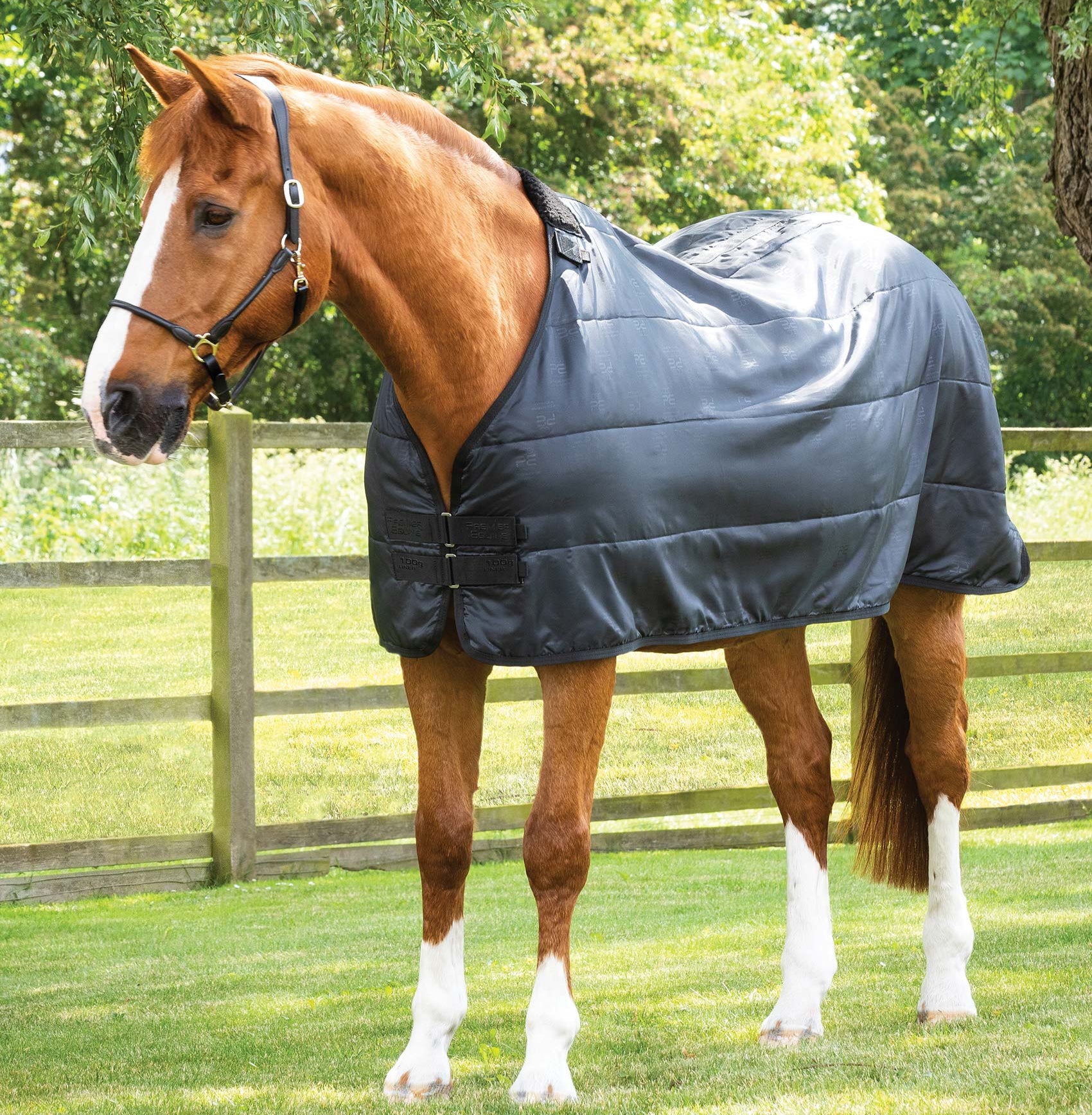 Premier Equine 100g Horse Rug Liner