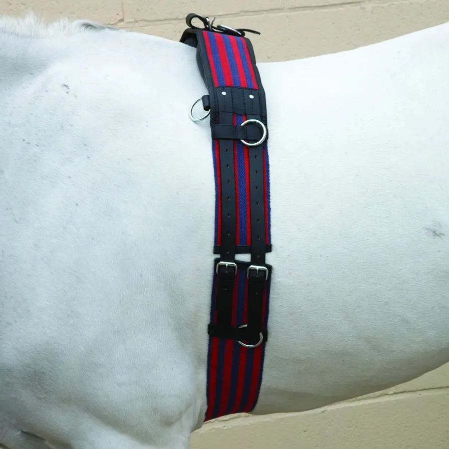 Hy Equestrian Training Roller