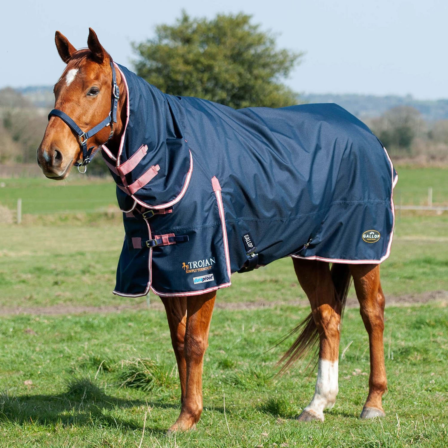 Gallop Trojan Duraproof 50g Turnout Combo