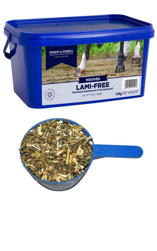 Dodson & Horrell Lami-Free 1.5KG