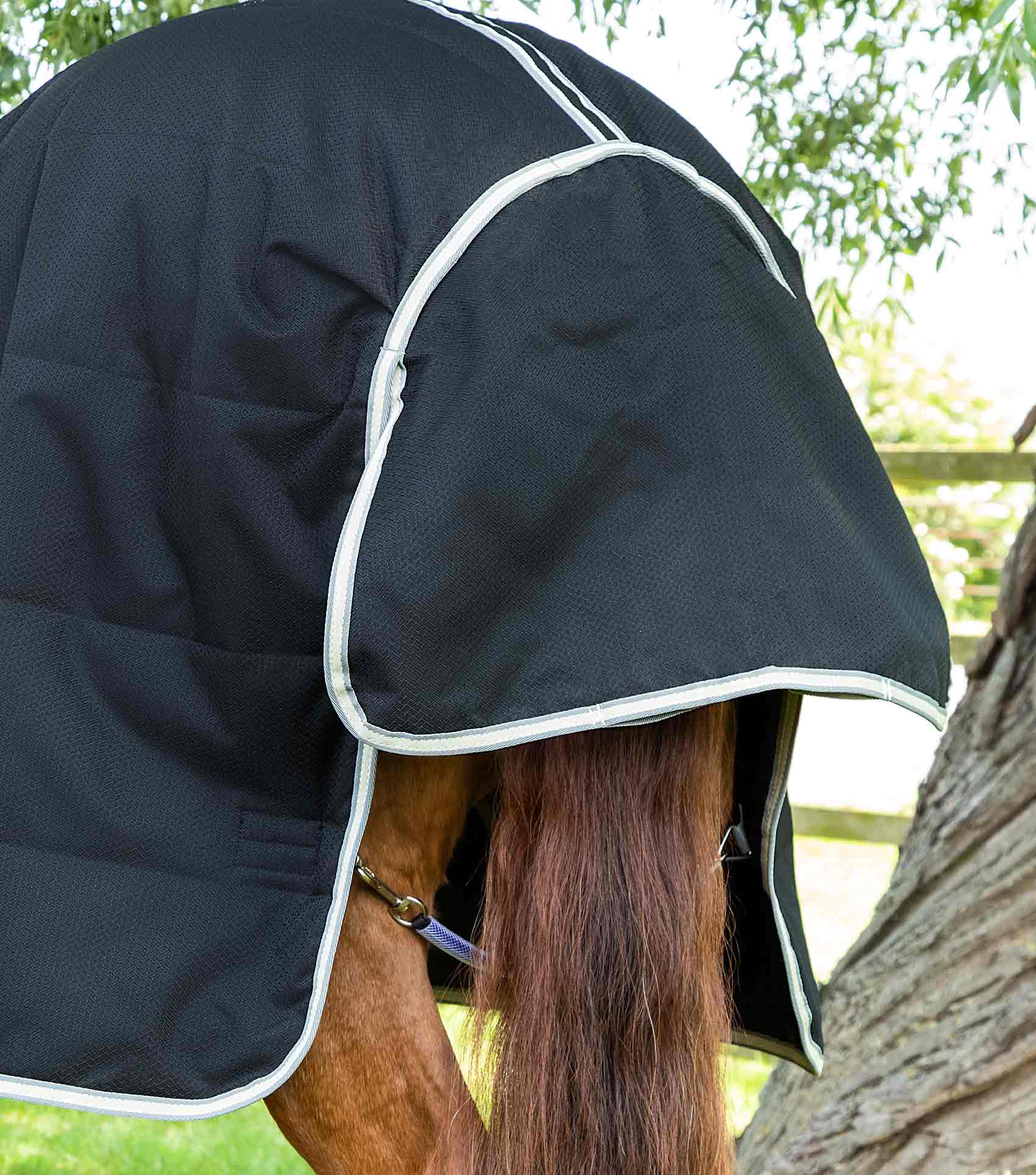 Premier Equine Lucanta Demi Stable 100g