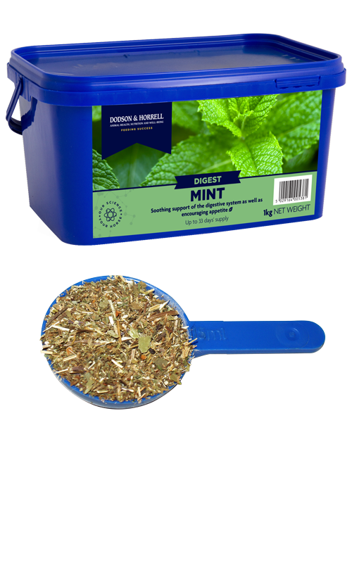 Dodson & Horrell Mint