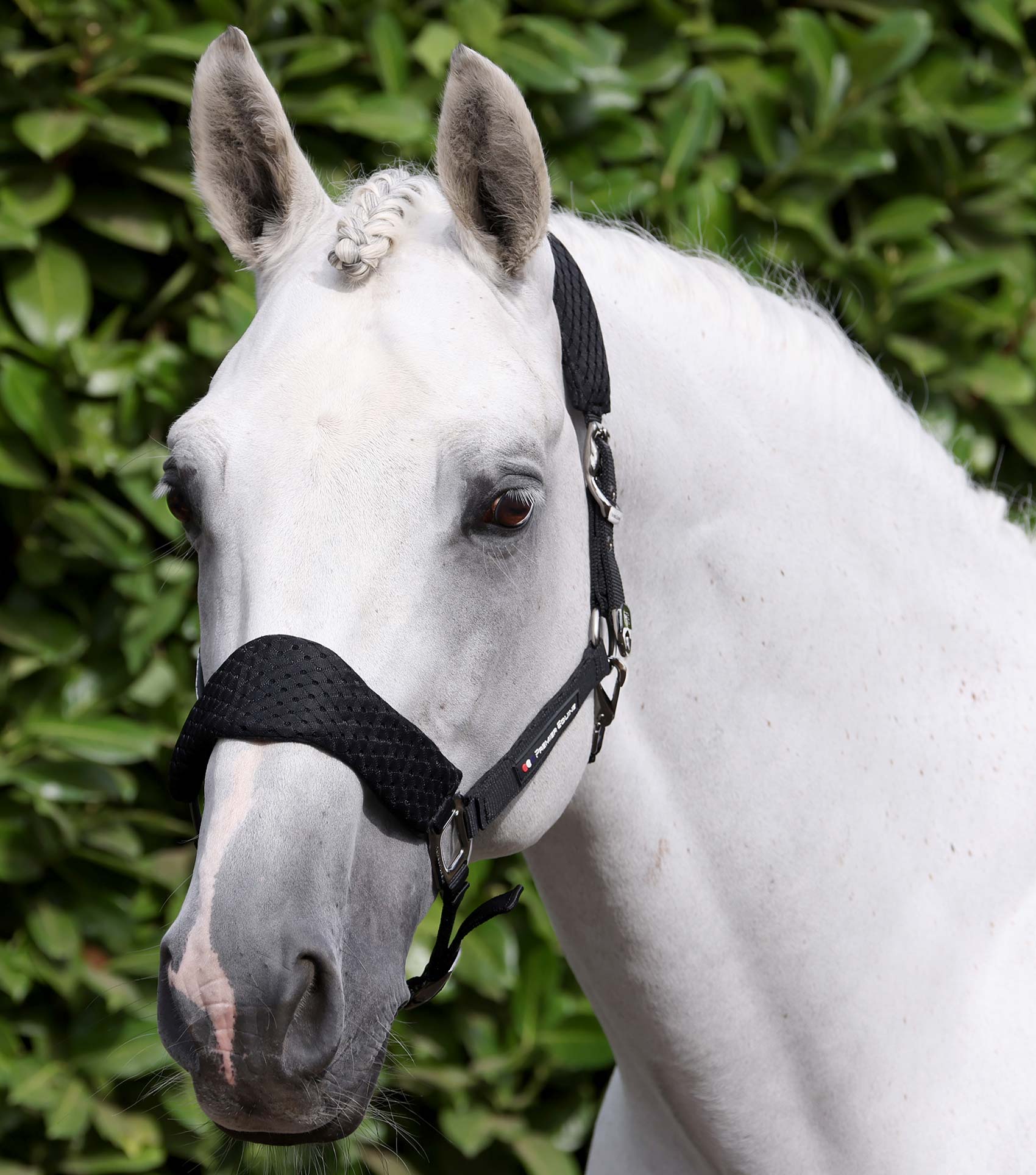 Premier Equine Necto 3D Mesh Head Collar with Lead Rope