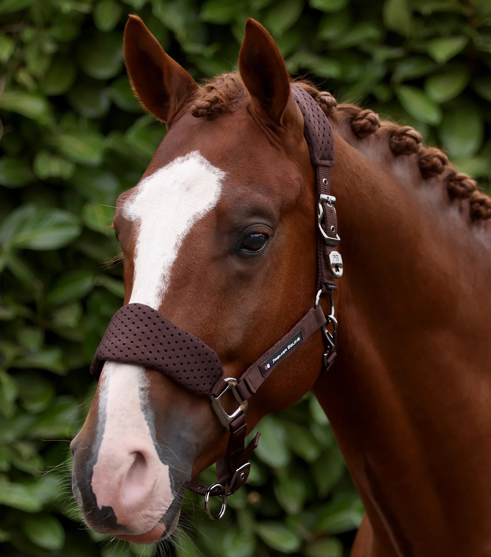 Premier Equine Necto 3D Mesh Head Collar with Lead Rope