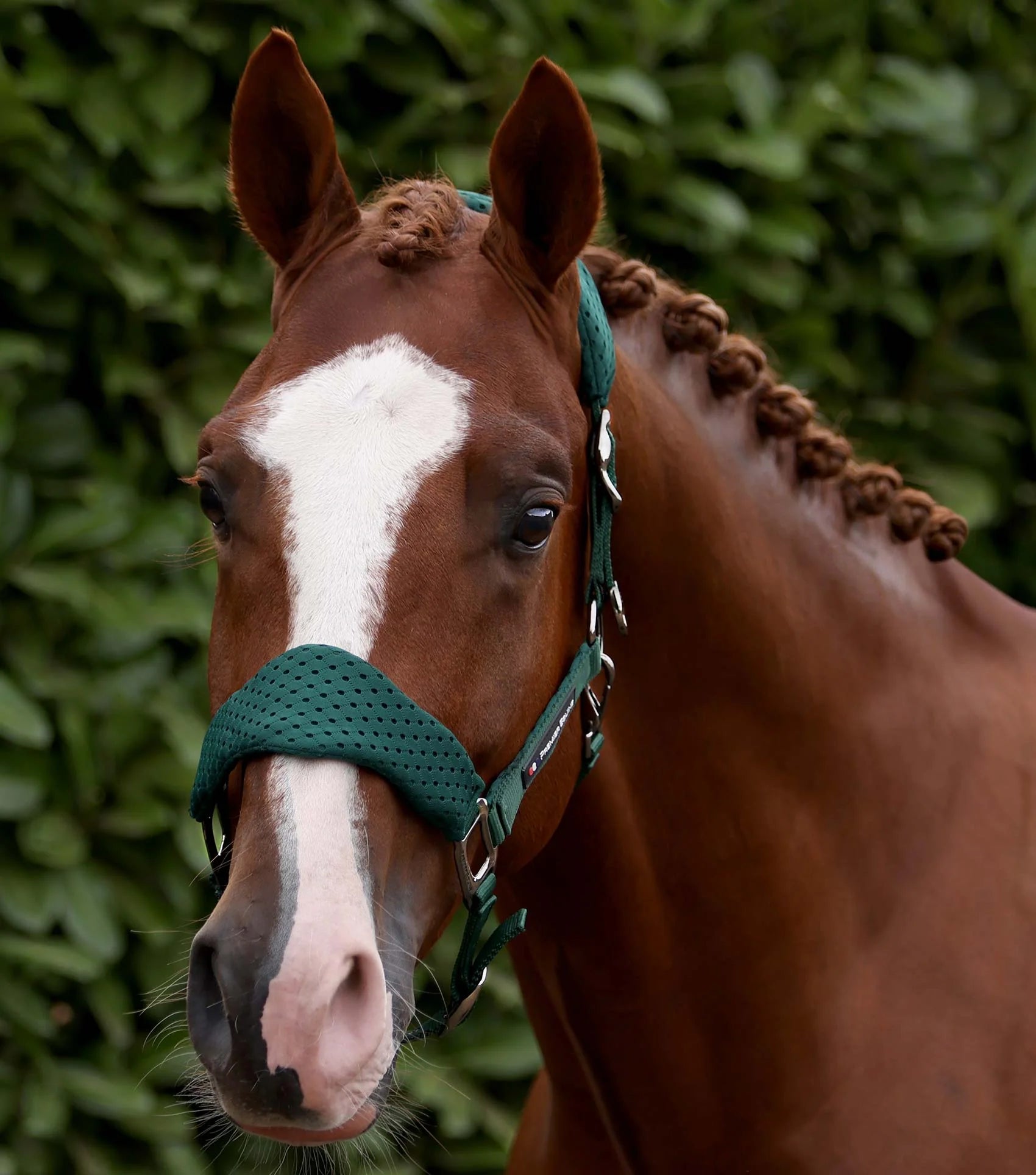 Premier Equine Necto 3D Mesh Head Collar with Lead Rope