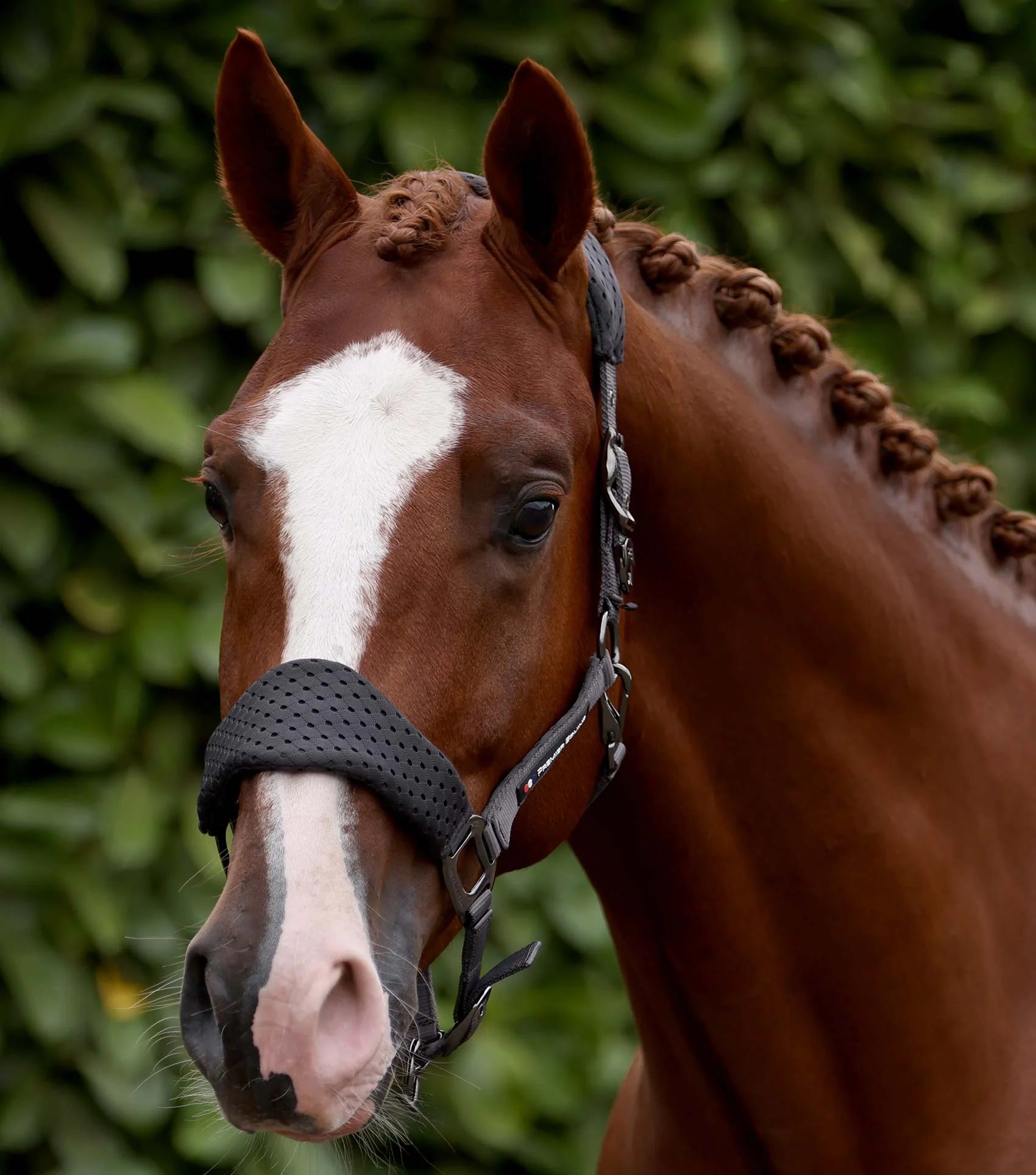 Premier Equine Necto 3D Mesh Head Collar with Lead Rope