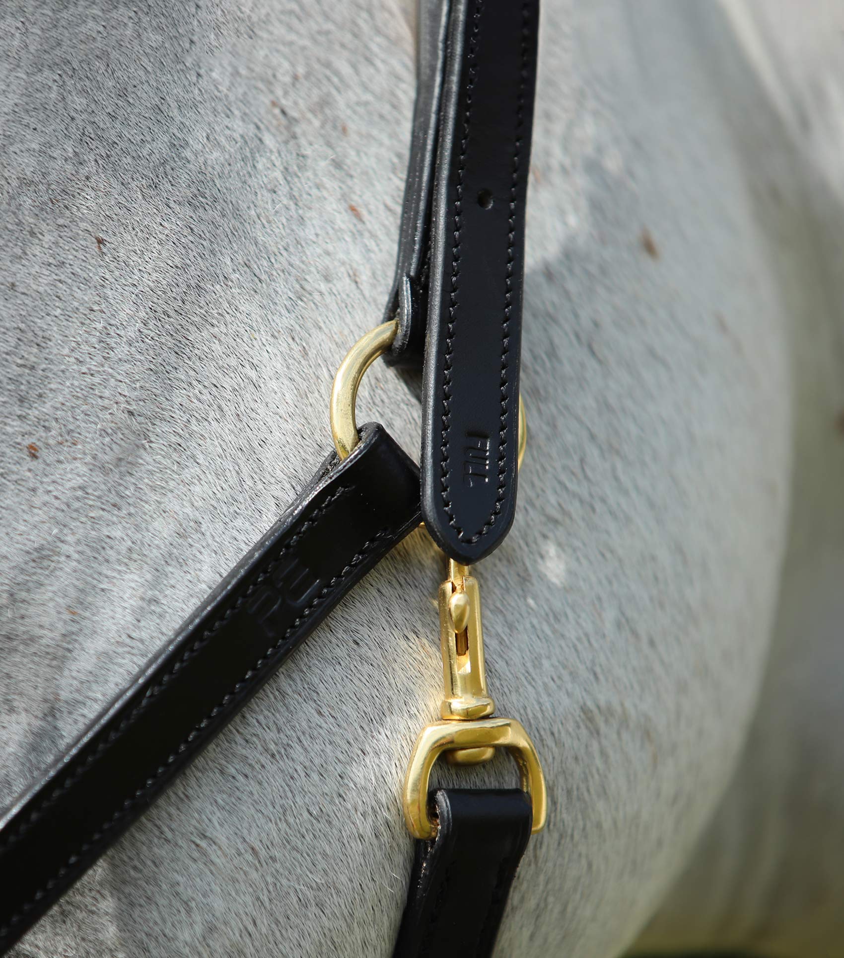 Premier Equine Pasco Plain Leather Head Collar Black