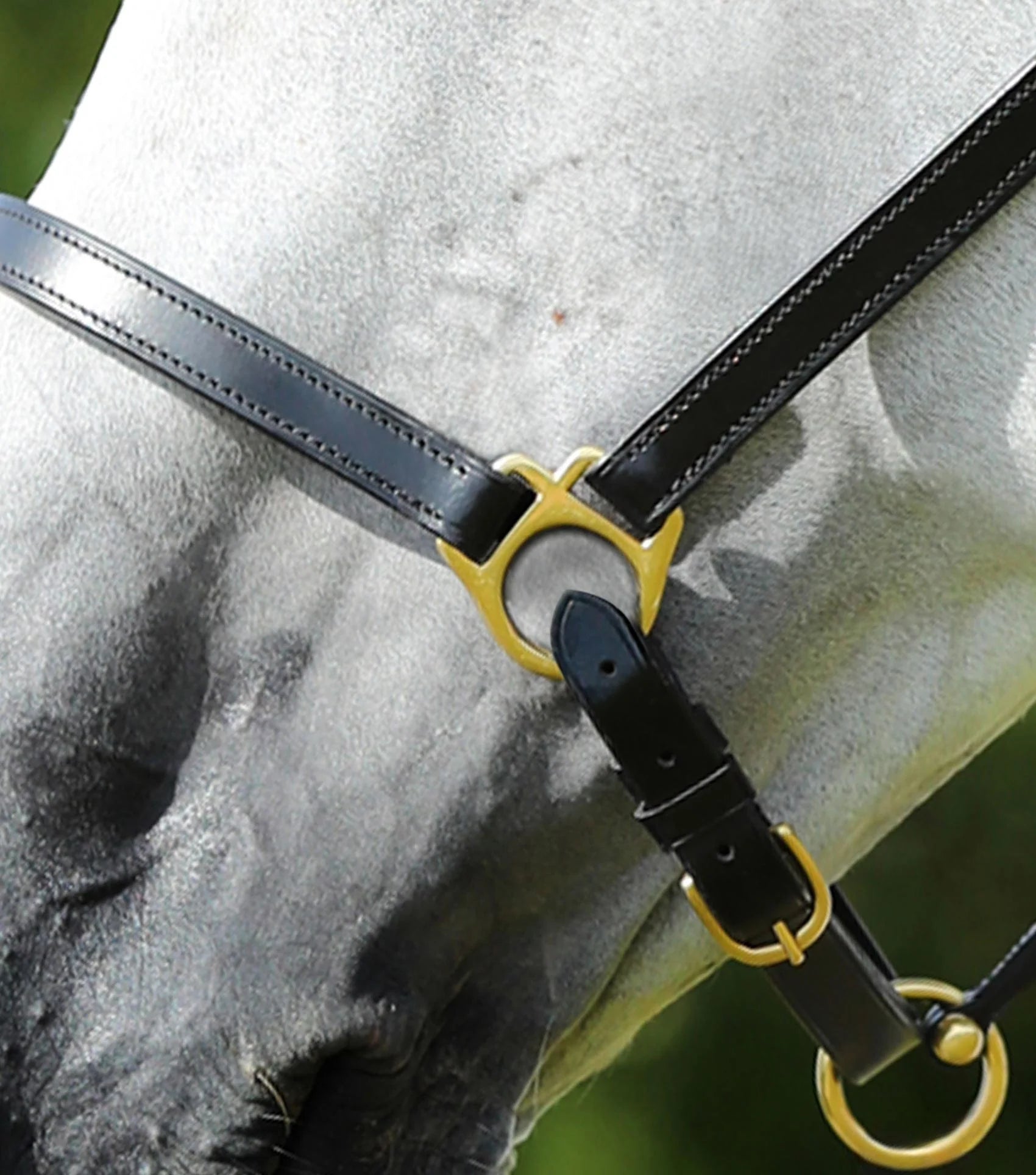 Premier Equine Pasco Plain Leather Head Collar Black