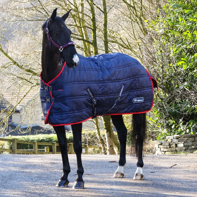 Whitaker Rastrick V2 100g Stable Rug