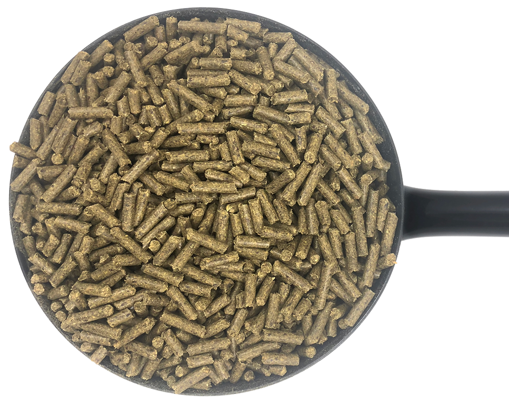 Dodson & Horrell Race Lite Cubes 20kg