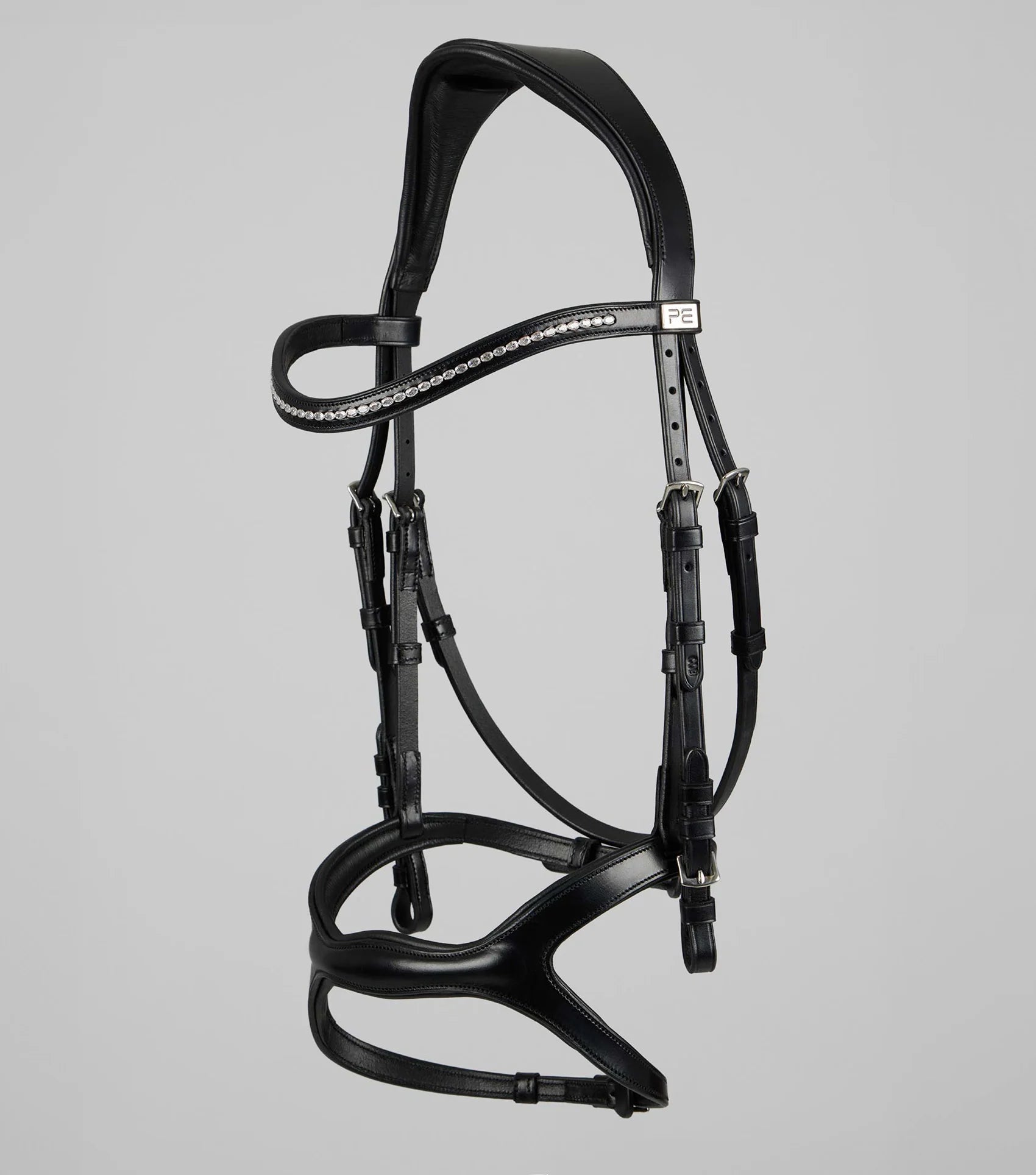 San Paolo Anatomical Bridle