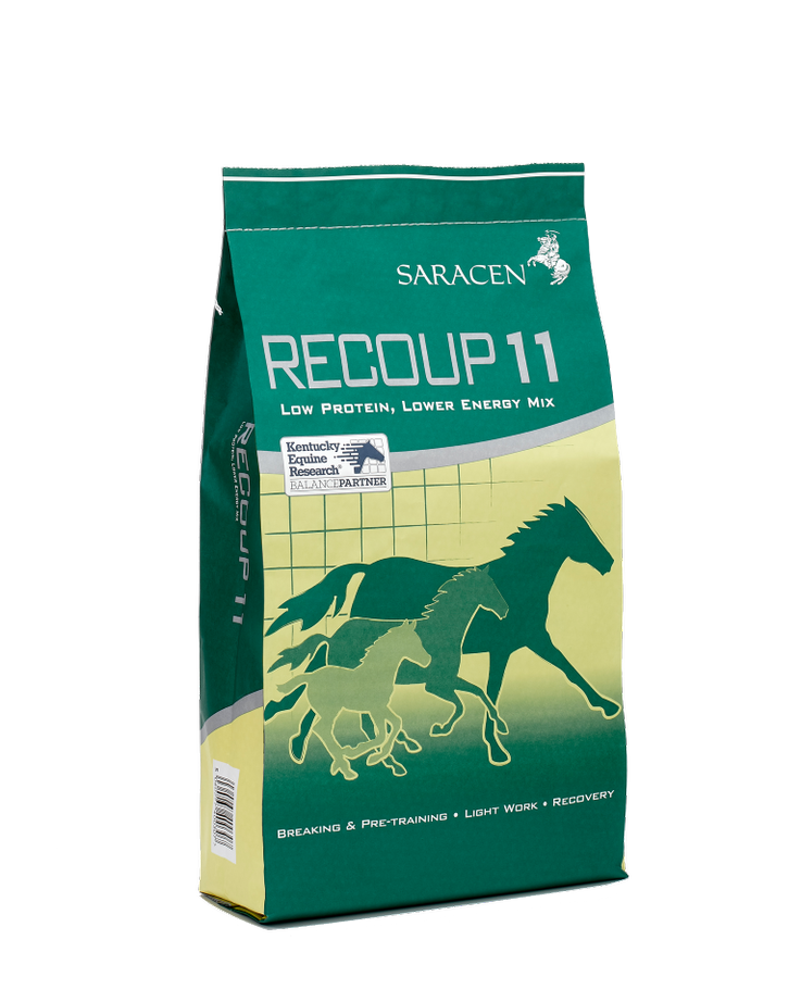 Saracen Recoup 11 20kg