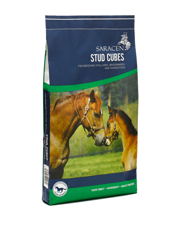 Saracen Stud Cubes 20kg