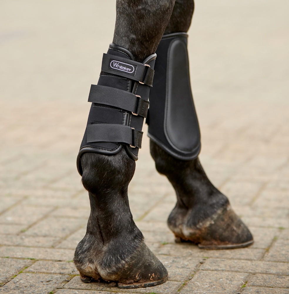 Whitaker Bradford Brushing Boots