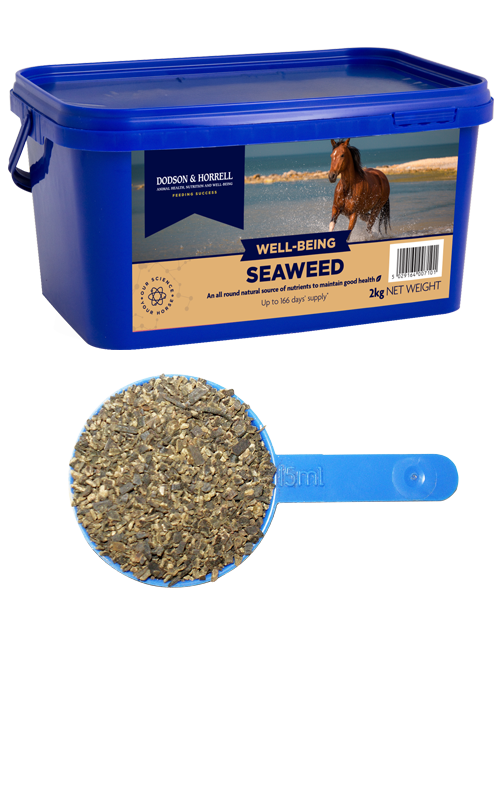 Dodson & Horrell Seaweed 2KG