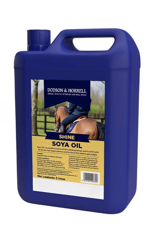 Dodson & Horrell Soya Oil