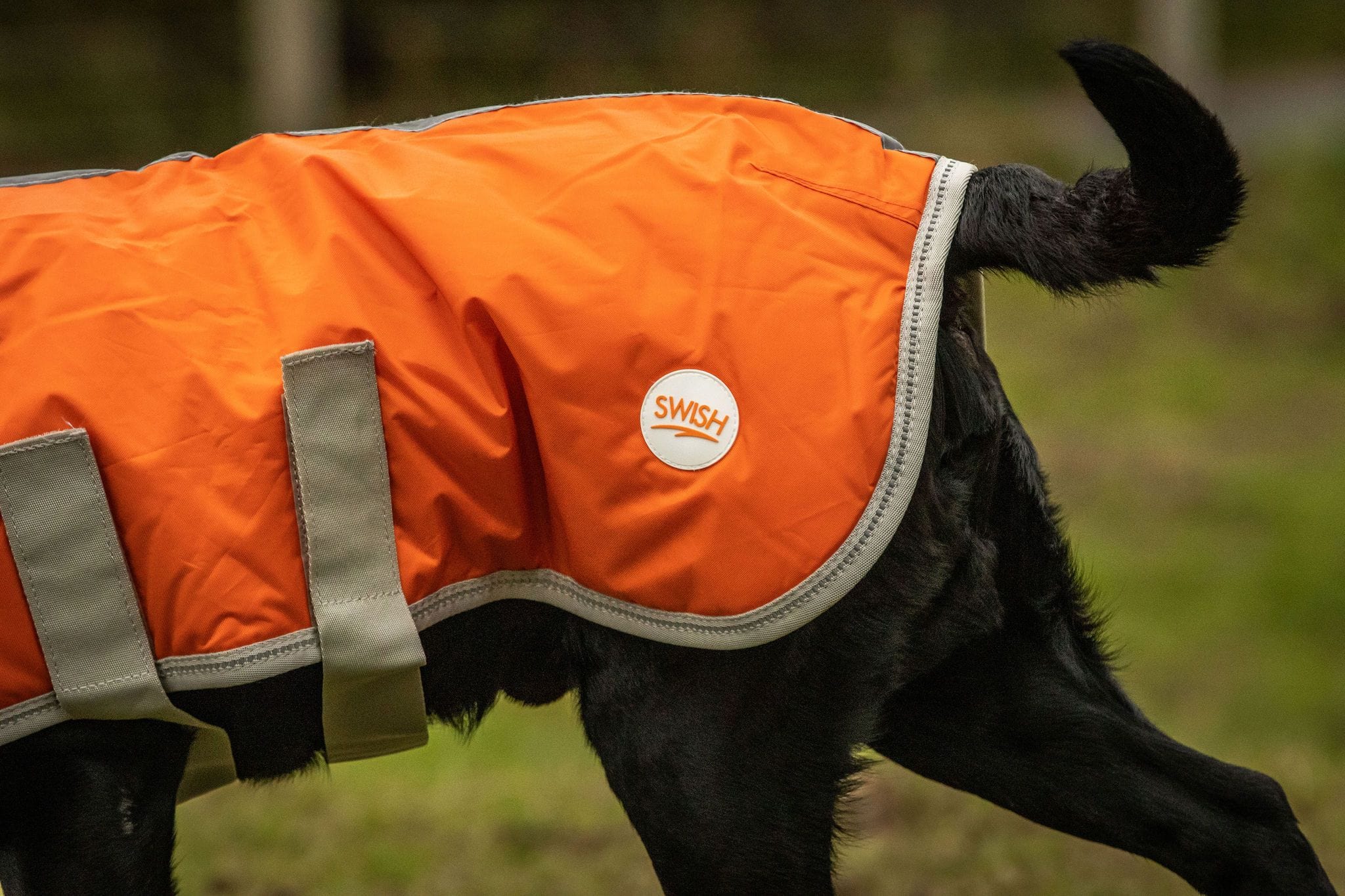 Waterproof Dog Coat - Orange