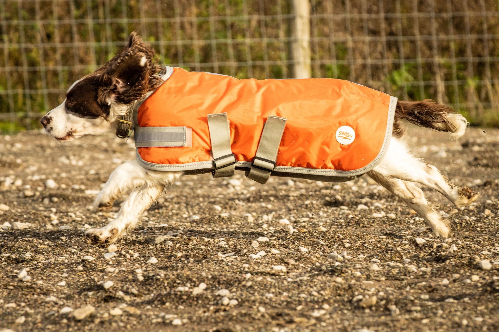 Waterproof Dog Coat - Orange