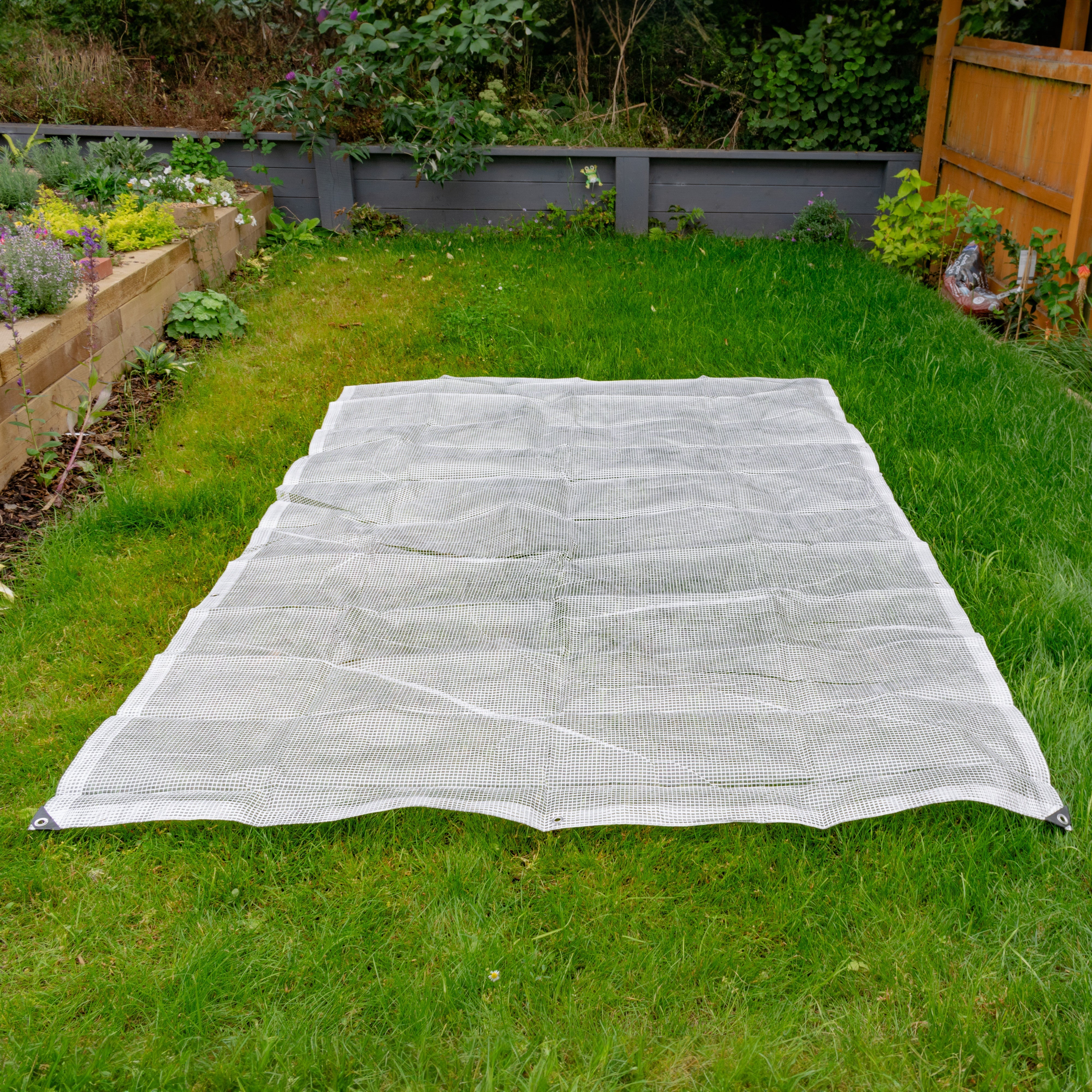 Clear XL-Grade Tarpaulin with 10 x 6" Bungee Balls (Black)