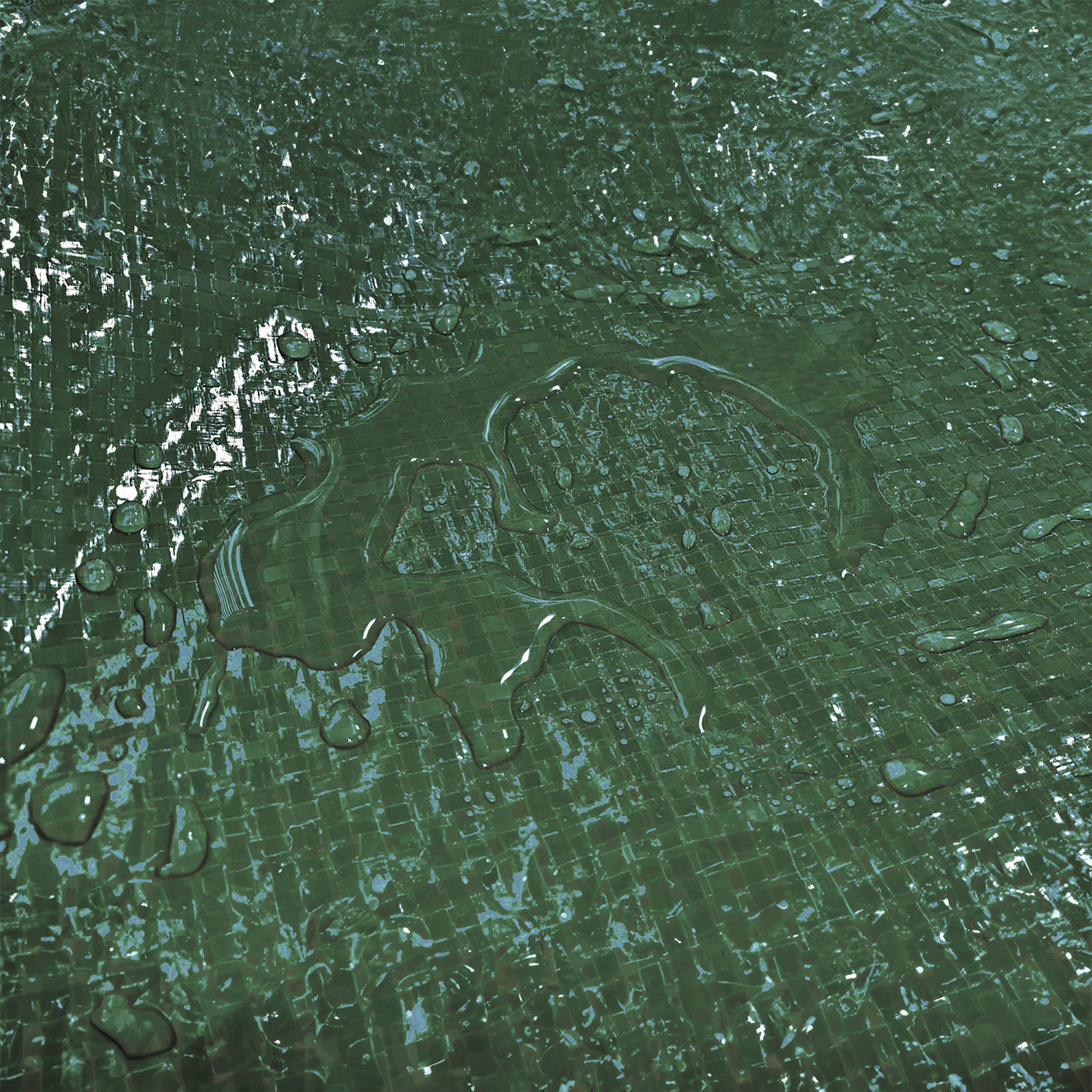 Green M-Grade Tarpaulin with 10m of 6mm Bungee Rope and 10 x Slide Type Tarp Clips