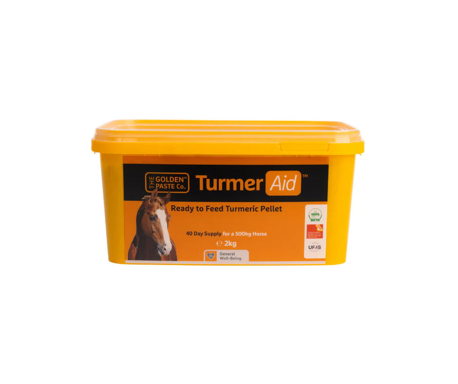 The Golden Paste Company TurmerAid