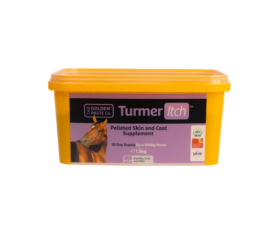 TurmerItch 1.5KG
