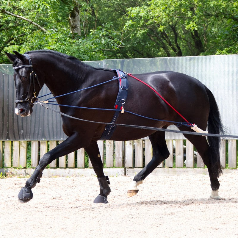 The John Whitaker Training System