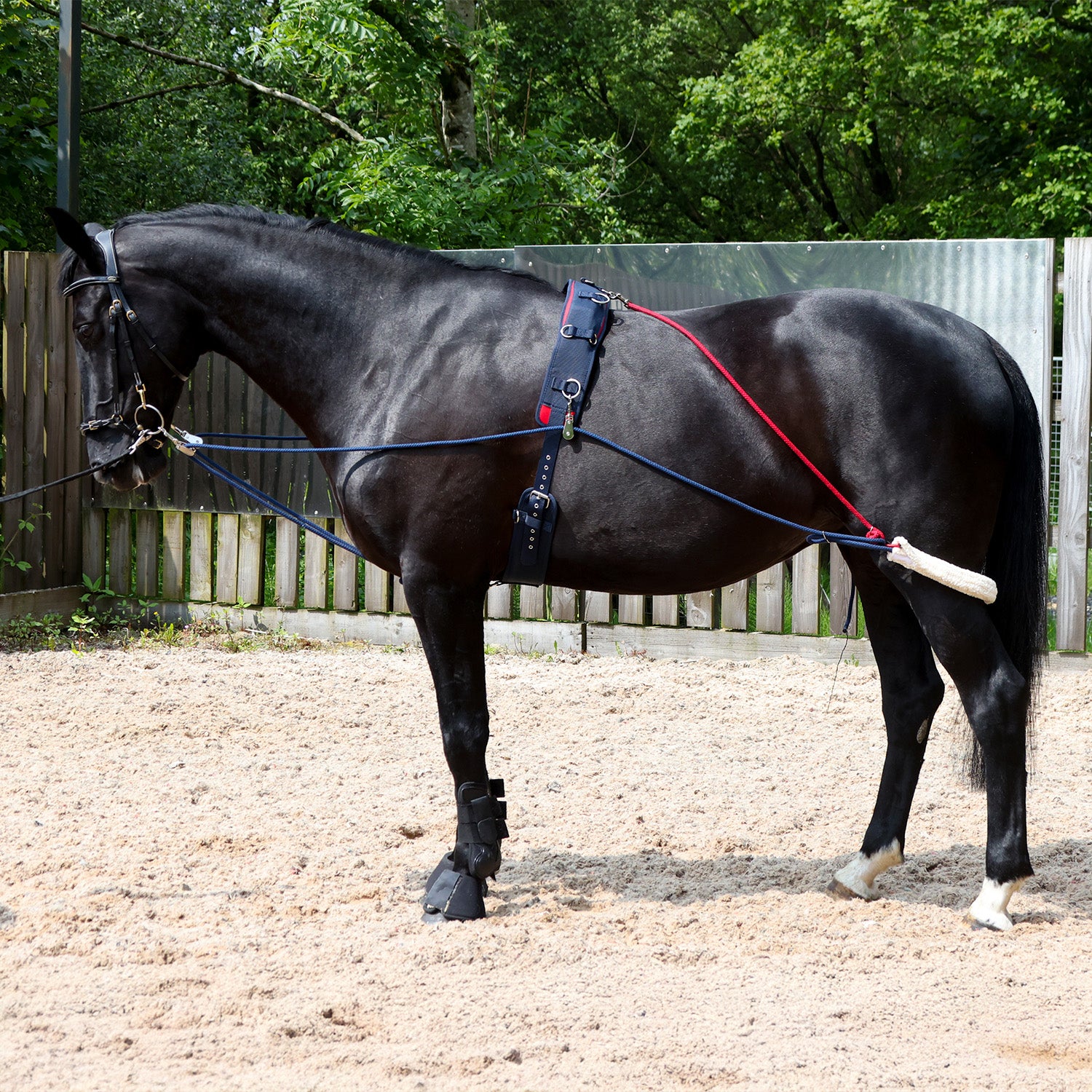 The John Whitaker Training System
